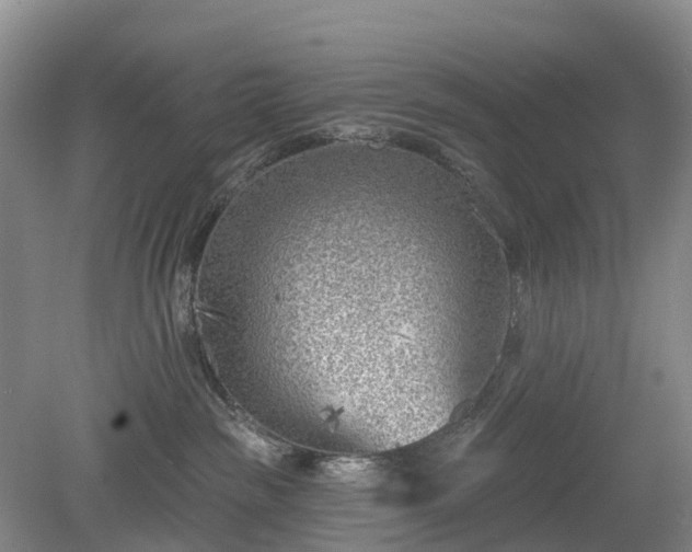 X0000078890189200611201446