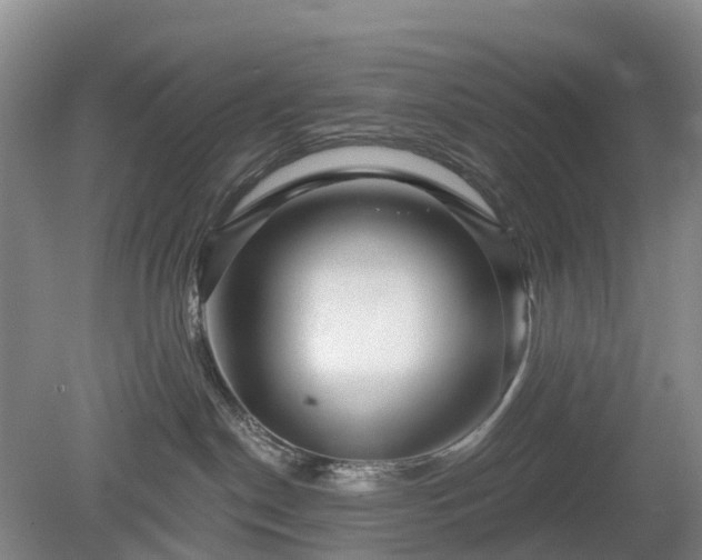 X0000078890190200611201446