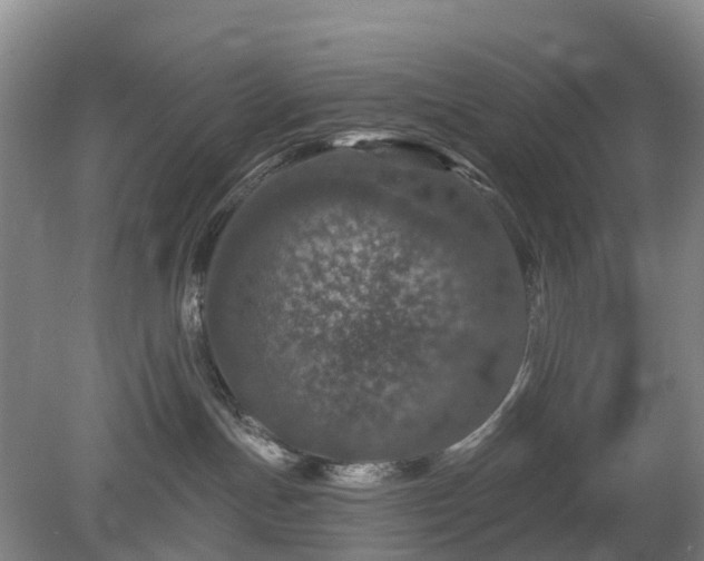 X0000078890191200611201446