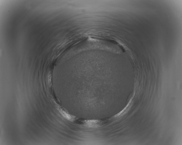 X0000078890192200611201446