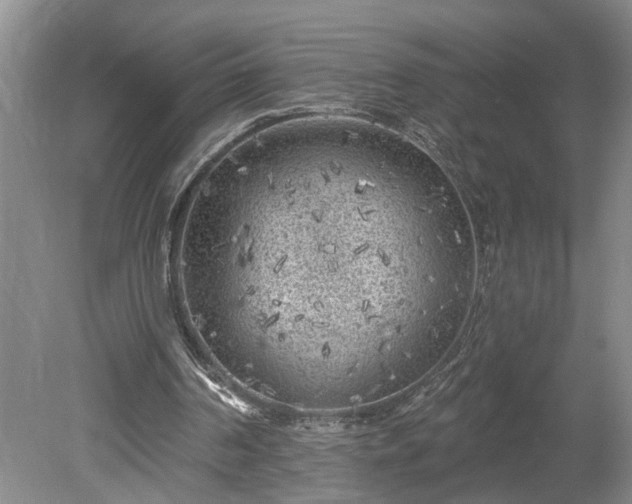 X0000078890194200611201445