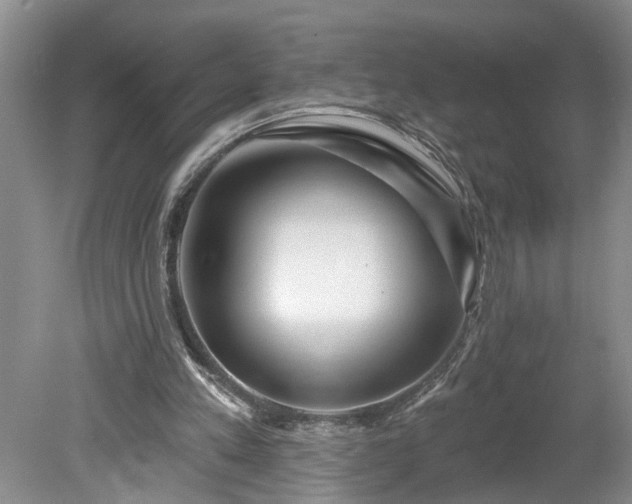 X0000078890197200611201445