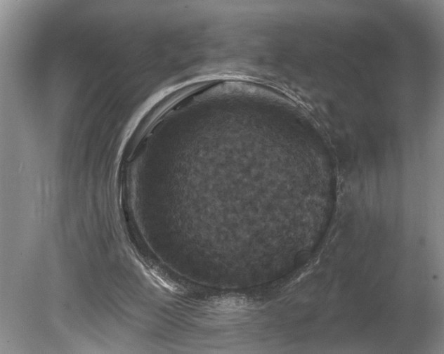 X0000078890200200611201445