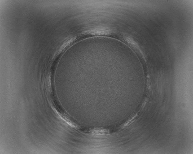 X0000078890202200611201445