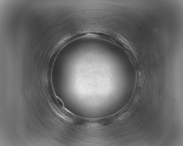 X0000078890203200611201445