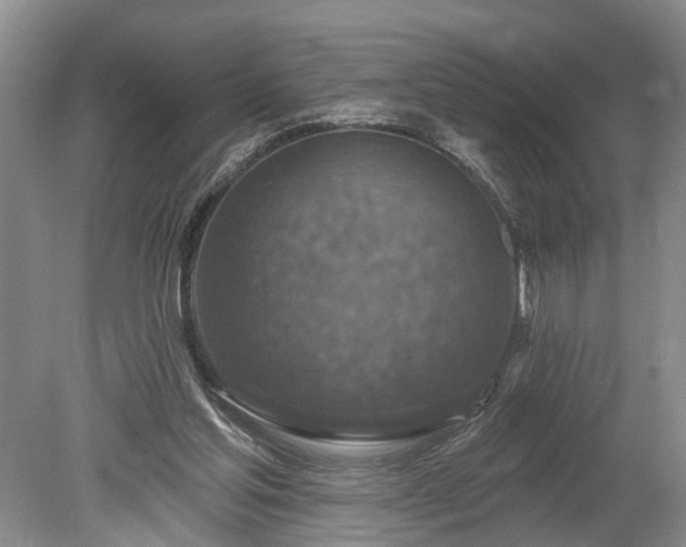 X0000078890205200611201445