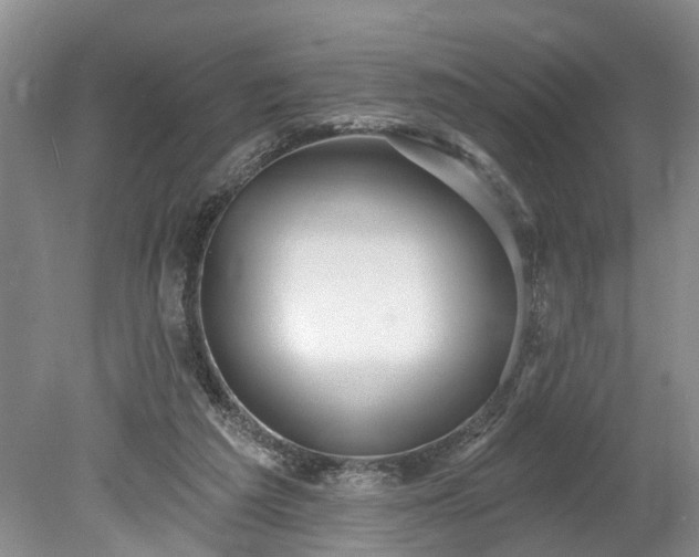 X0000078890209200611201445