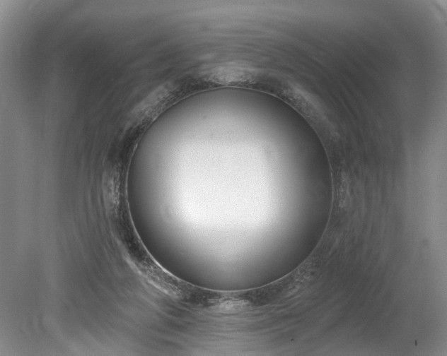 X0000078890210200611201445