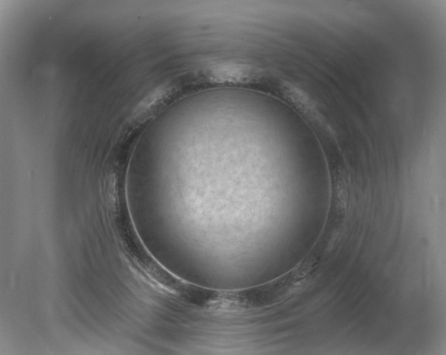 X0000078890211200611201445