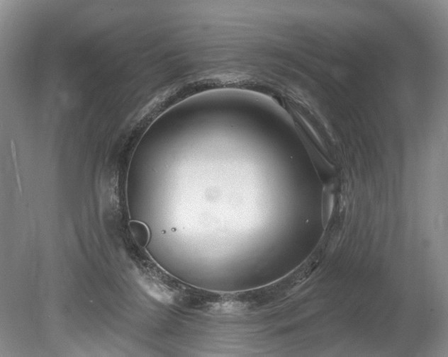 X0000078890212200611201445