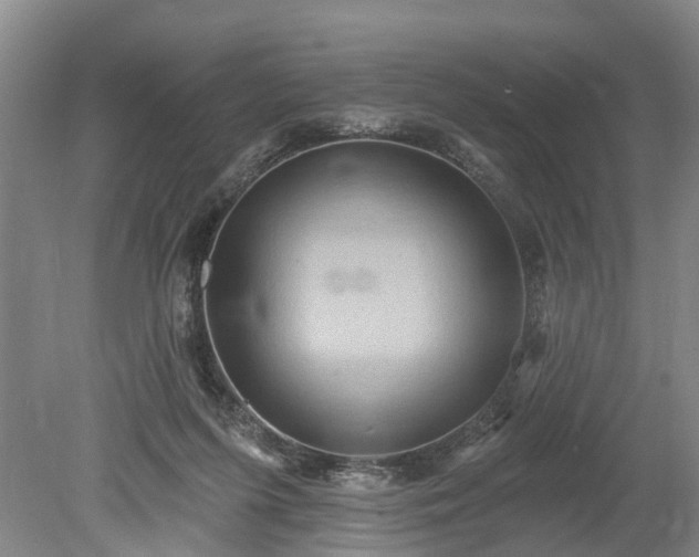 X0000078890215200611201445