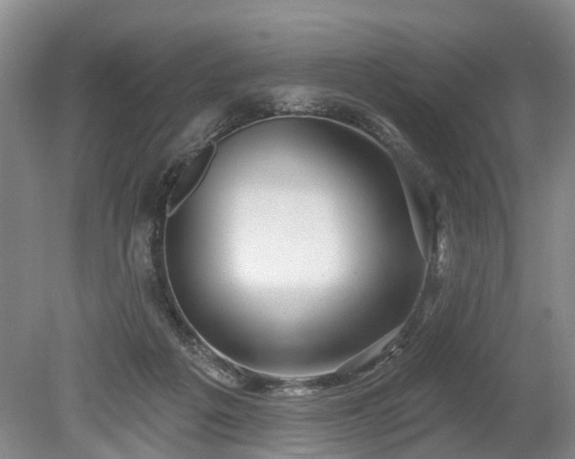 X0000078890217200611201445