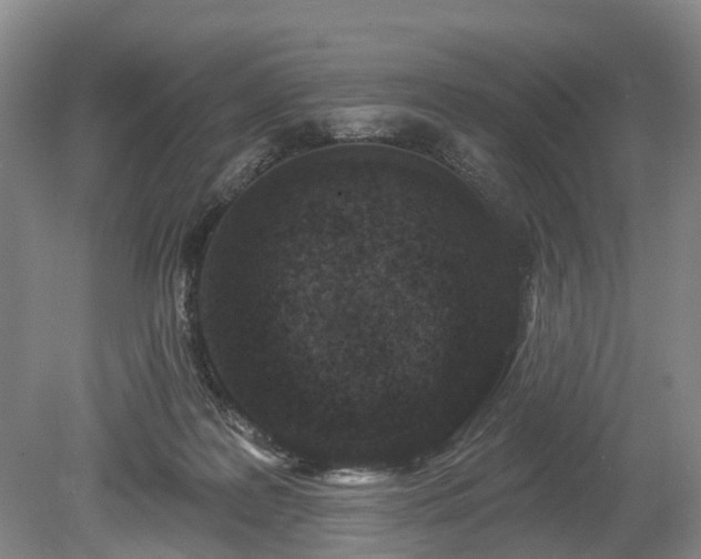 X0000078890219200611201445