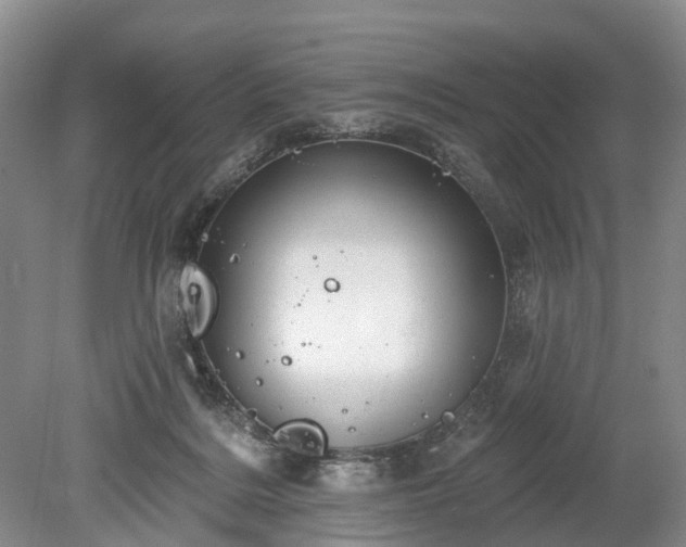 X0000078890220200611201445