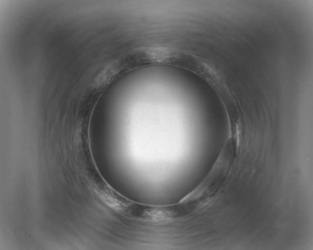 X0000078890221200611201445