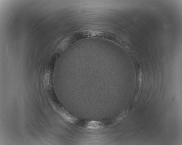 X0000078890222200611201445