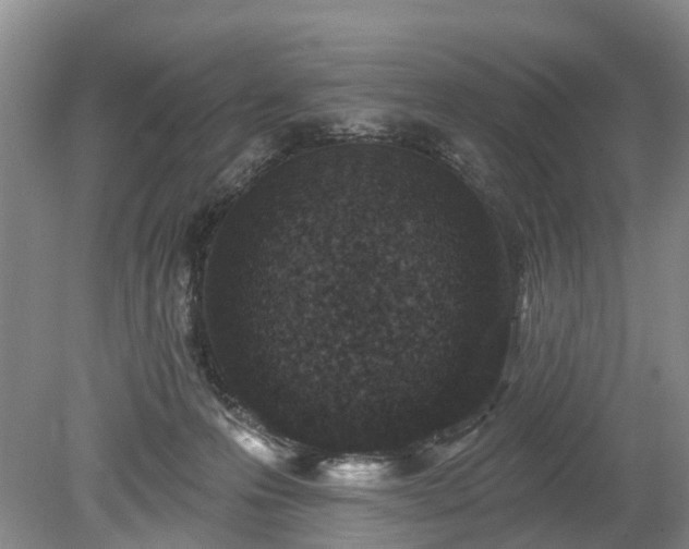 X0000078890223200611201445