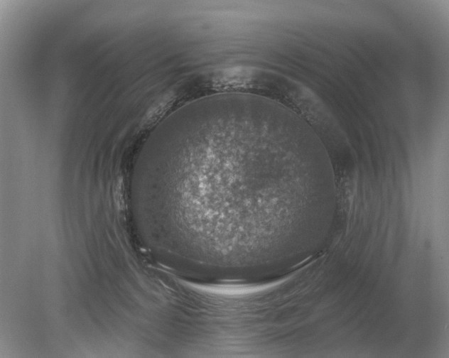 X0000078890224200611201445