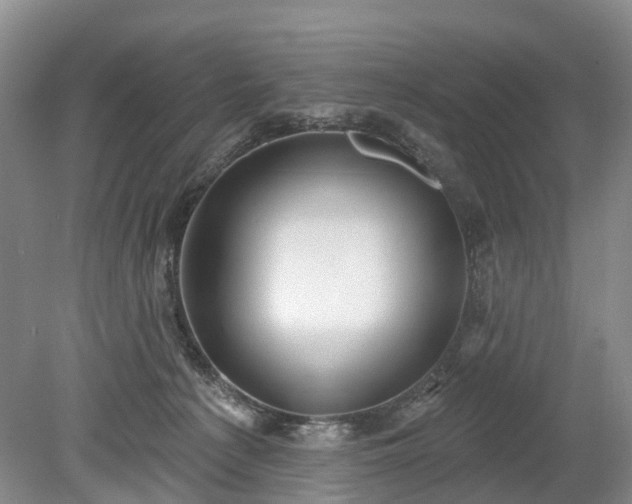 X0000078890225200611201445