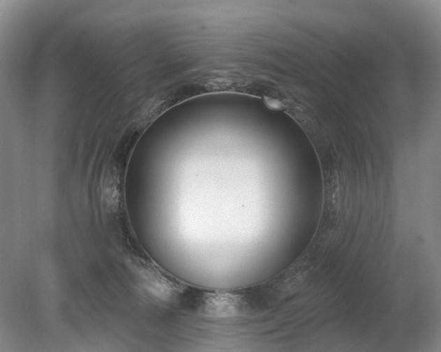 X0000078890226200611201445