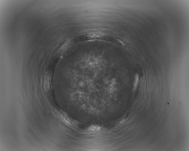 X0000078890227200611201445