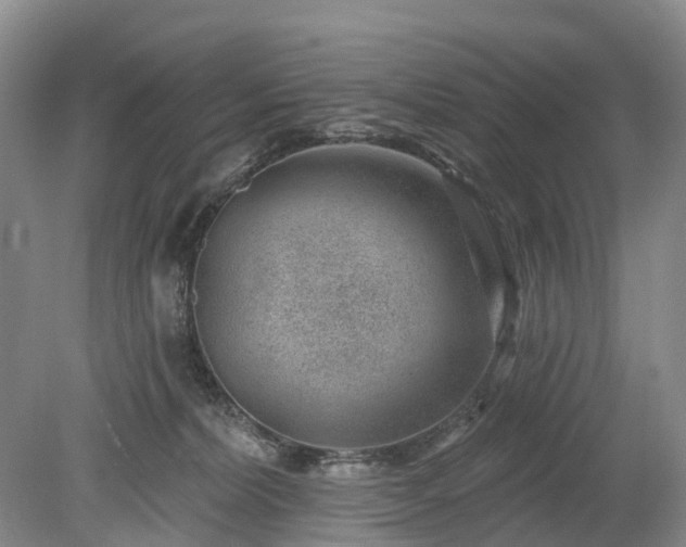 X0000078890228200611201445