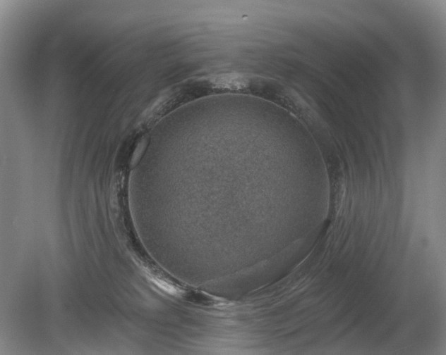 X0000078890229200611201445