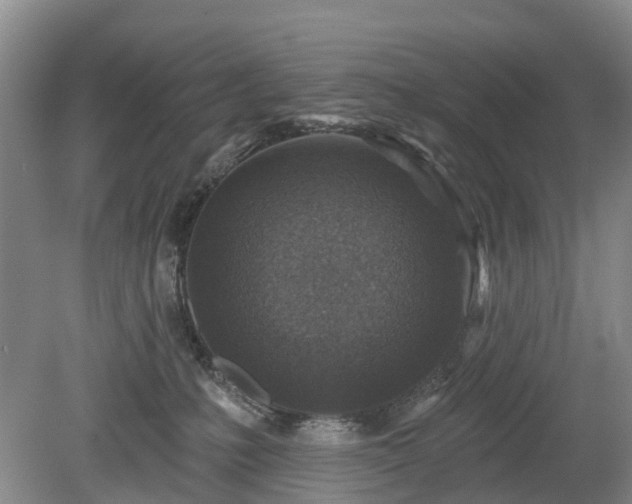 X0000078890231200611201445