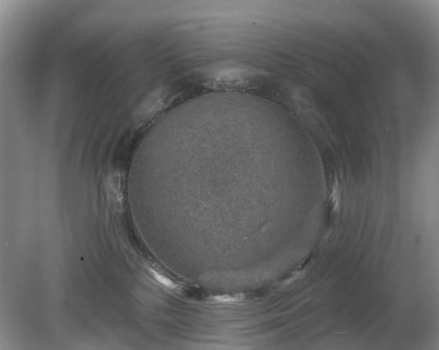 X0000078890232200611201445