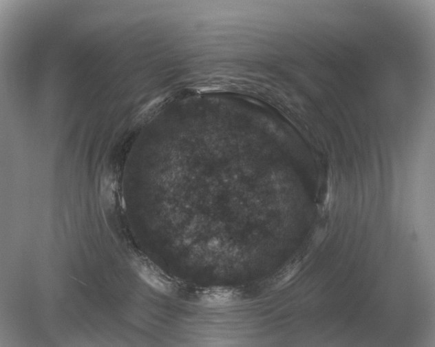 X0000078890235200611201445