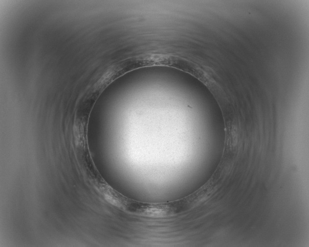 X0000078890236200611201445