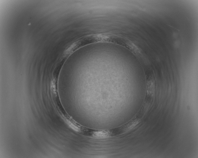 X0000078890238200611201445