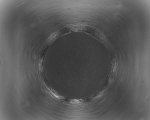 X0000078890239200611201445