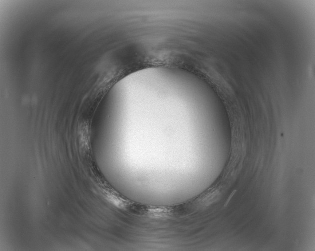 X0000078890240200611201445