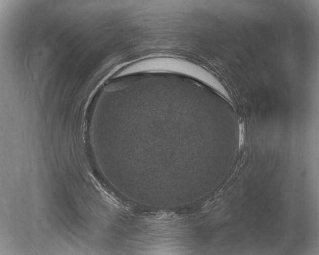 X0000078890243200611201444