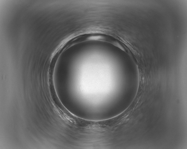 X0000078890244200611201444