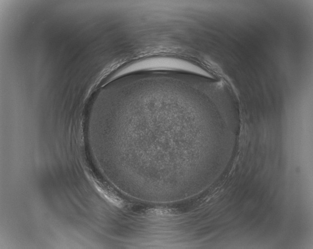 X0000078890250200611201444