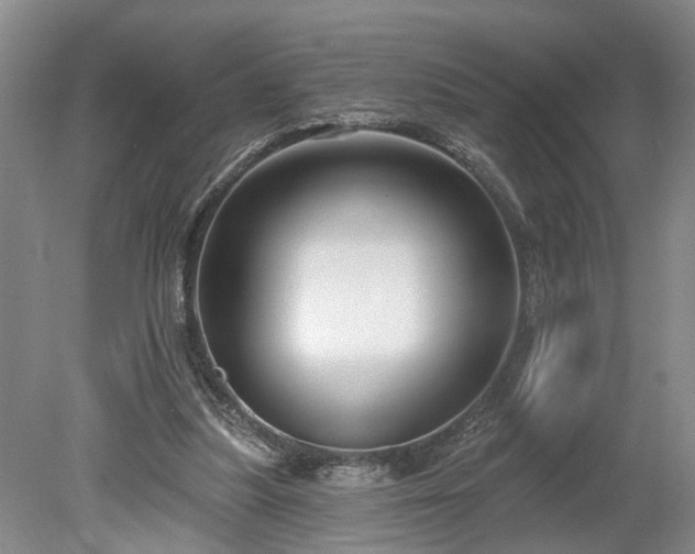 X0000078890251200611201444