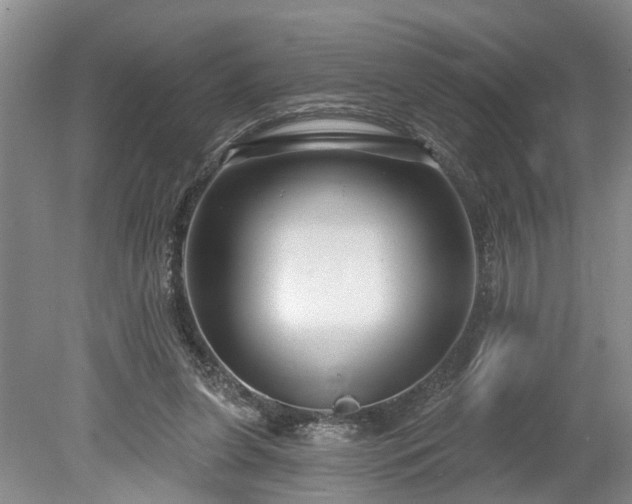 X0000078890255200611201444