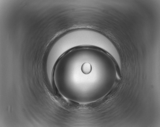 X0000078890256200611201444