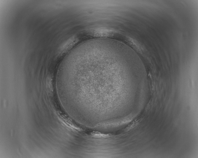 X0000078890258200611201444