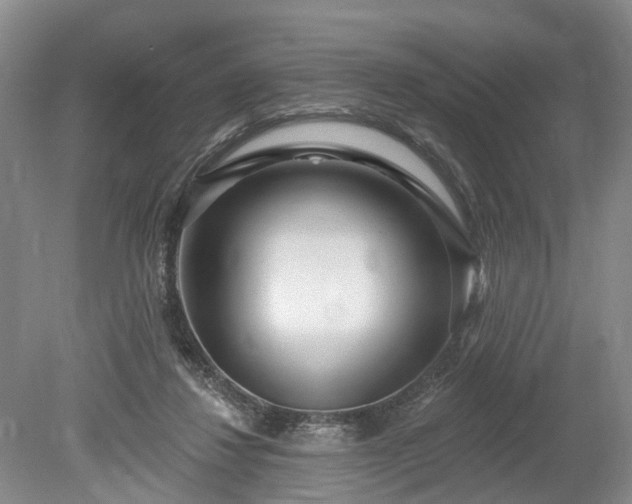 X0000078890260200611201444