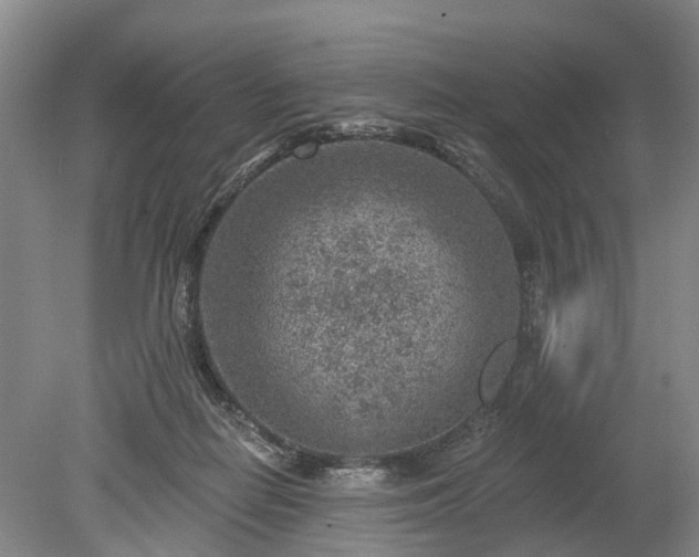 X0000078890266200611201444