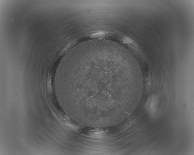 X0000078890267200611201444