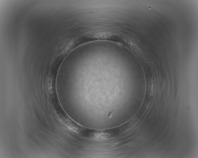 X0000078890268200611201444