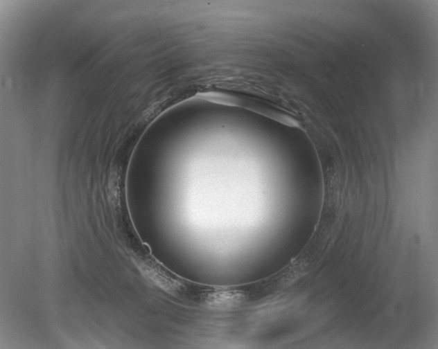 X0000078890274200611201444