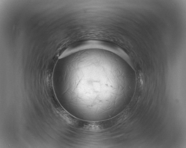 X0000078890276200611201444