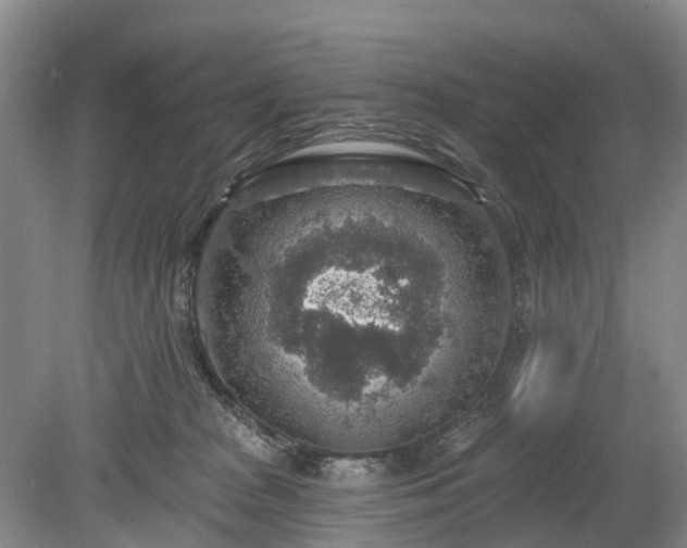 X0000078890277200611201444