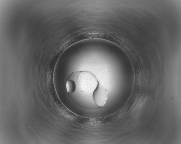 X0000078890278200611201444