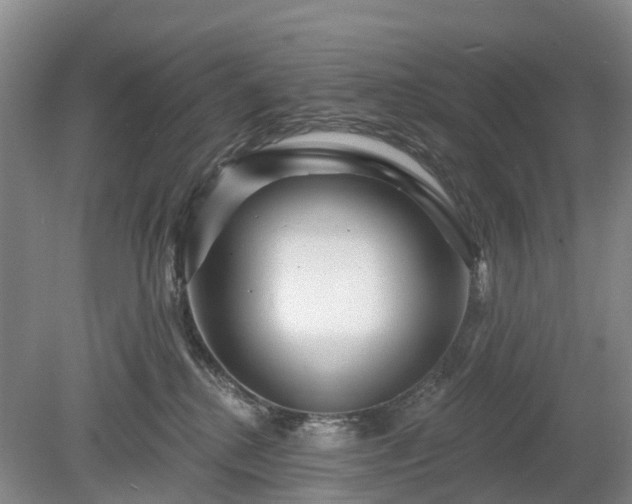 X0000078890280200611201444